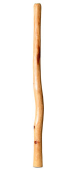 Medium Size Natural Finish Didgeridoo (TW1461)